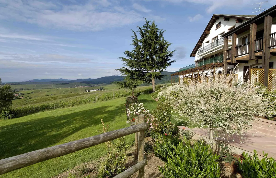 Le Clos Saint-Vincent-1
